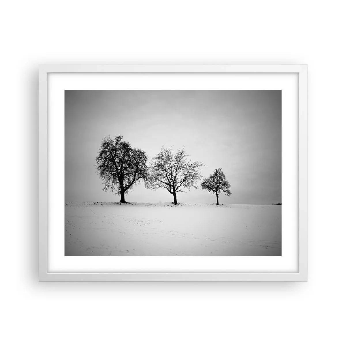 Plakat w białej ramie - O czym śnią? - 50x40 cm