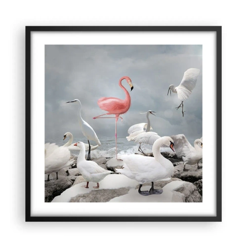 Plakat w czarnej ramie - Skąd się tu wziąłem? - 50x50 cm
