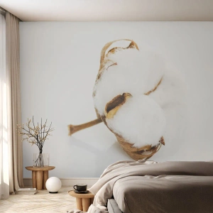 Fototapeta Premium Sand - Miękka z natury - Bawełna, Minimalistyczny, Kwiat - 350x256 cm