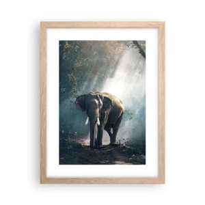 Plakat w ramie jasny dąb - Spokojna przechadzka - 30x40 cm