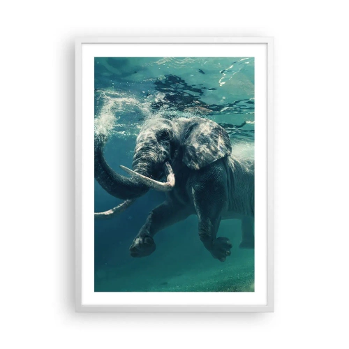 Plakat w białej ramie - Wszyscy lubią pływać - 50x70 cm