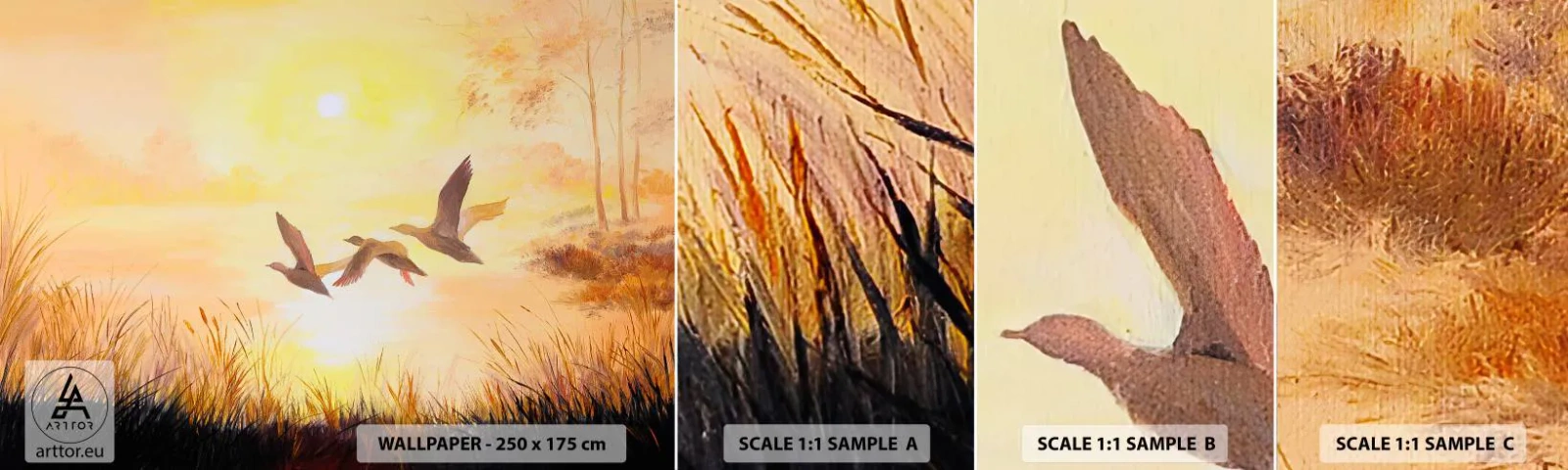 Fototapeta Próbka Samoprzylepna Deluxe Sticker - Początek dalekiej podróży - Natura, Dzika Kaczka, Krajobraz - 100x30 cm