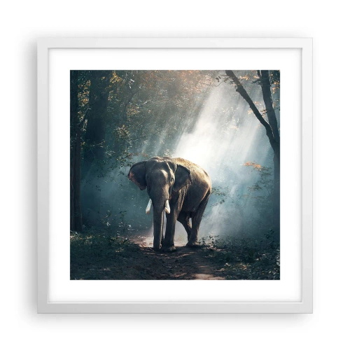 Plakat w białej ramie - Spokojna przechadzka - 40x40 cm