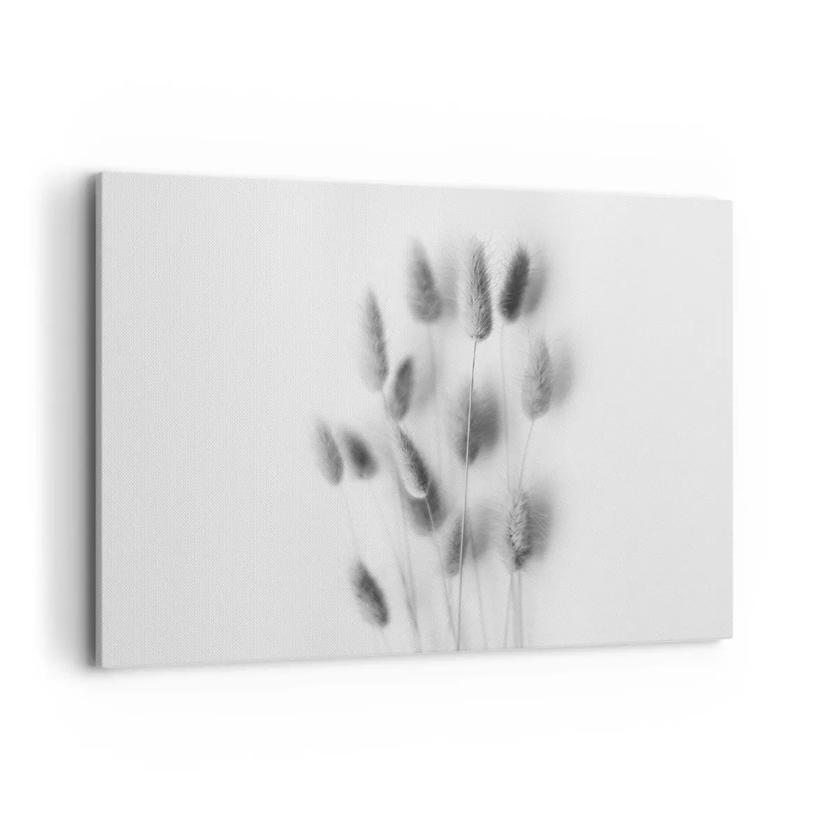 Obraz na płótnie - Delikatne trawy w odcieniach szarości na białym tle - 100x70cm - Jej puszystość trawa - Nowoczesna dekoracja ścienna do salonu, kuchni i sypialni ARTTOR