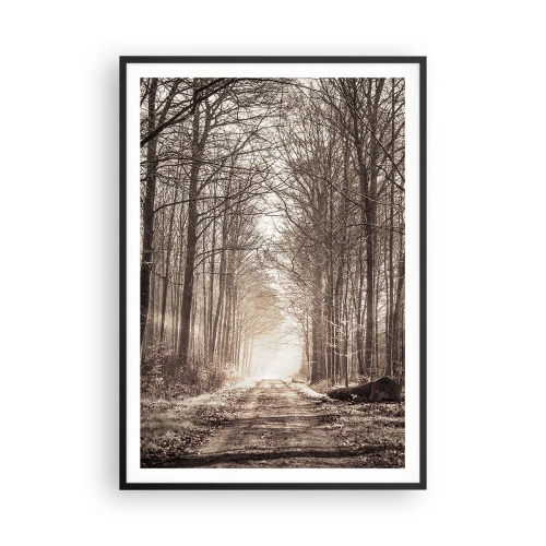 Plakat w czarnej ramie - Leśna katedra - 70x100 cm