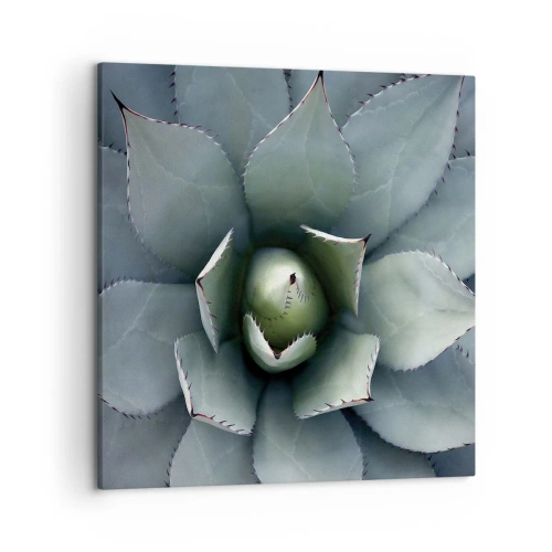 Obraz na płótnie - Wabi i przestrzega - 50x50 cm