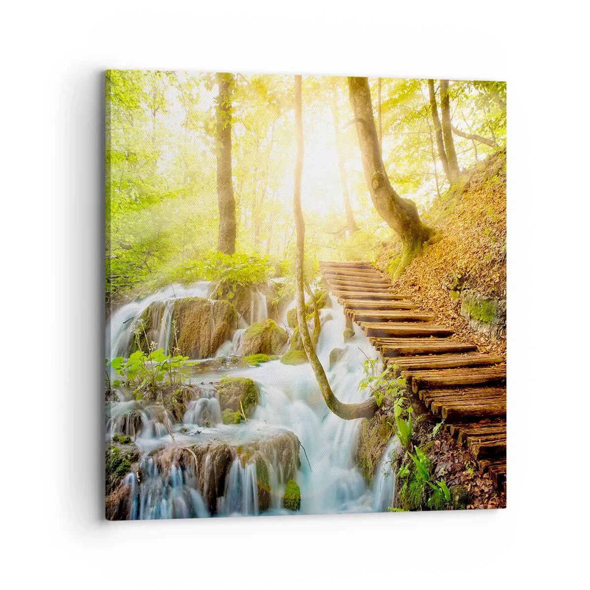 Obraz na płótnie - Upragniony chłód - 70x70 cm