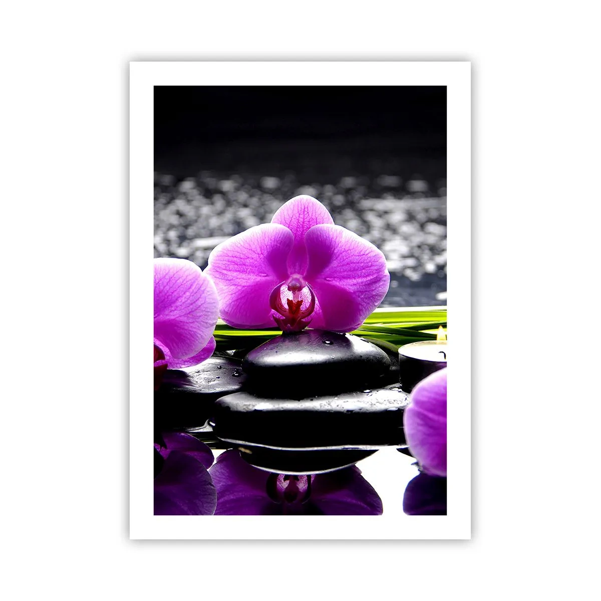 Plakat - Fioletowa orchidea na tle kamieni i wody w klimacie spa - 50x70cm - Utonąć w ciszy i spokoju - Nowoczesna dekoracja ścienna do salonu, kuchni i sypialni ARTTOR