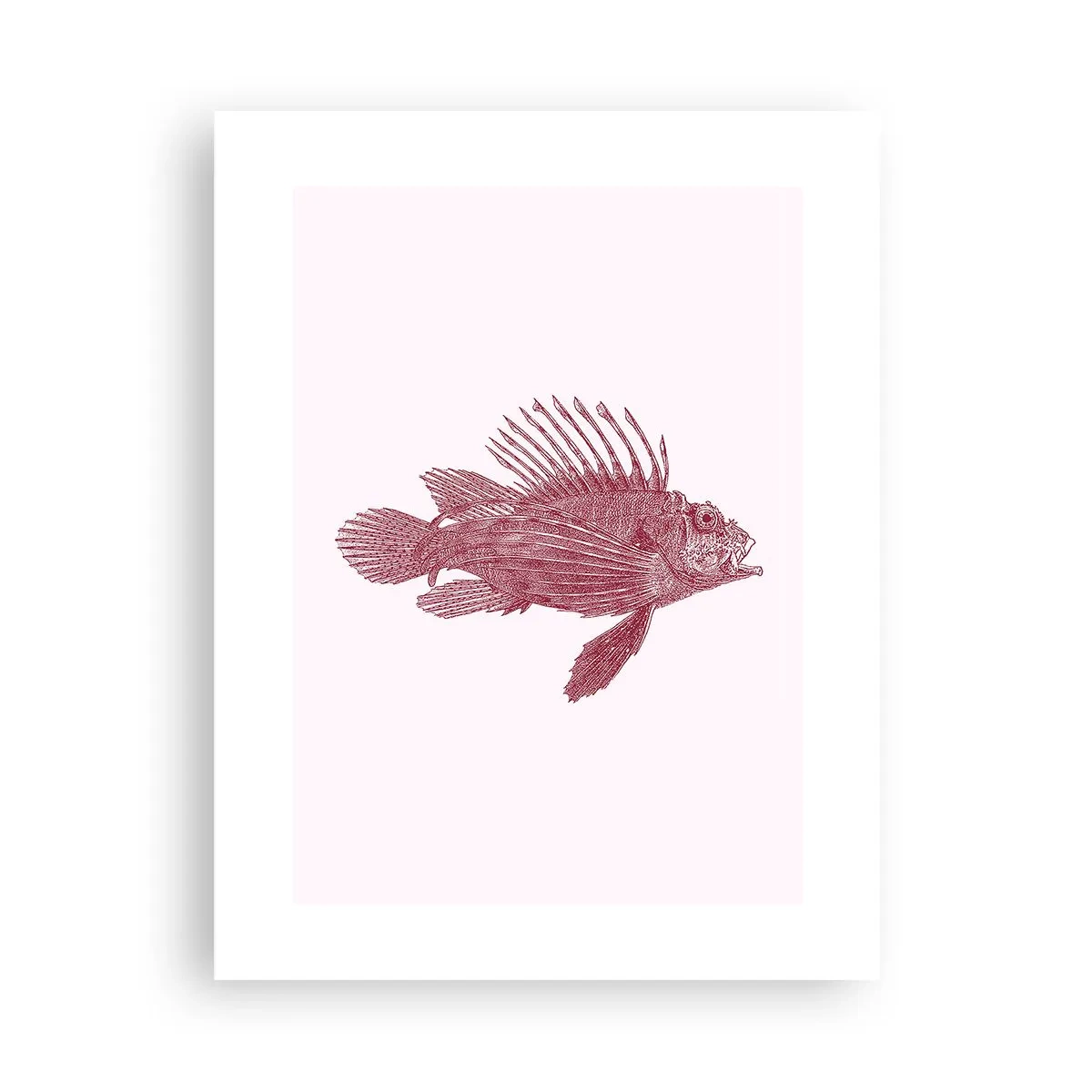 Plakat - Mieszkanka egzotycznych wód - 30x40 cm