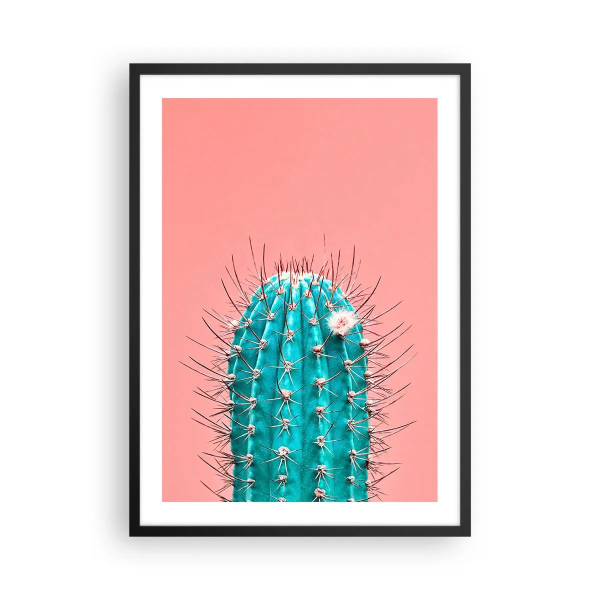 Plakat w czarnej ramie - Turkusowy kaktus na różowym tle - 50x70cm - Tylko patrz - Nowoczesna dekoracja ścienna do salonu i sypialni ARTTOR