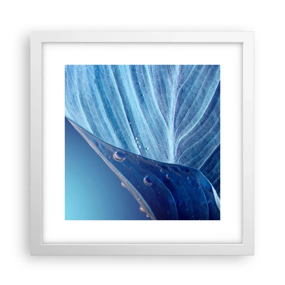 Plakat w białej ramie - Ukryte krople błękitu - 30x30 cm