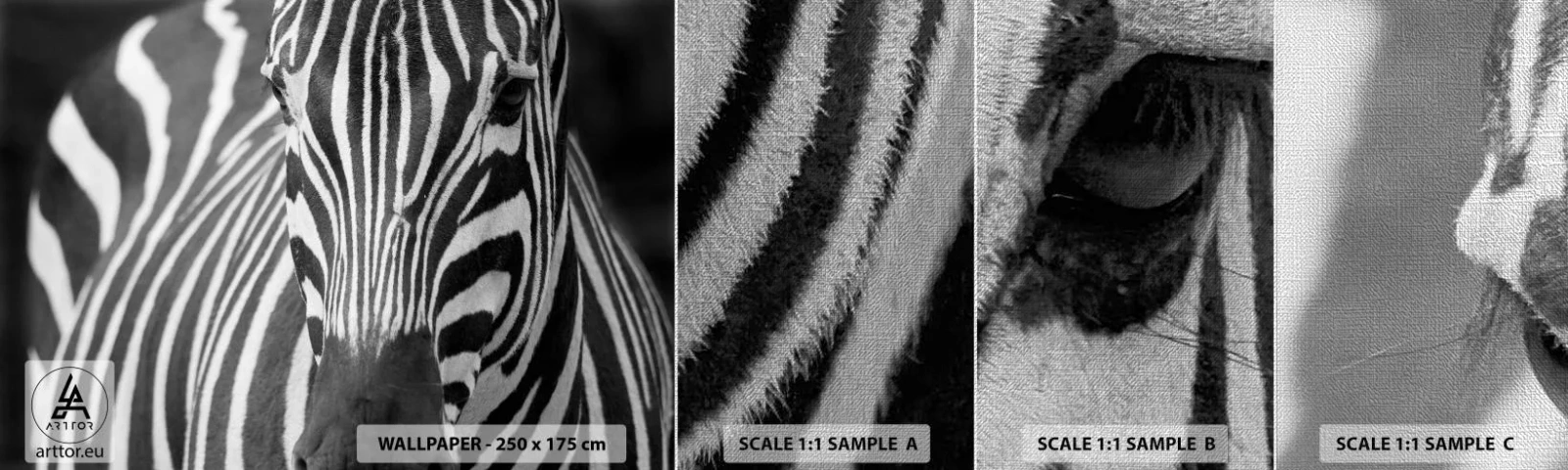 Fototapeta Próbka Premium Canvas - Świat jest czarno-biały - Zwierzęta, Zebra, Czarno-Biały - 100x30 cm
