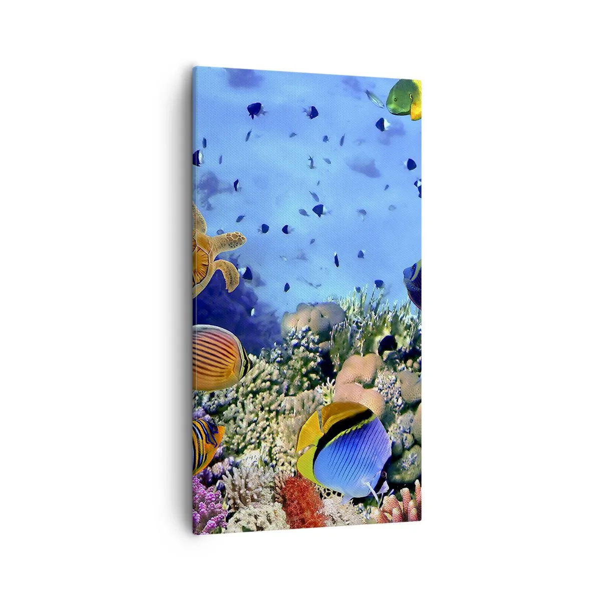 Obraz na płótnie - I co my wiemy o życiu... - 55x100 cm