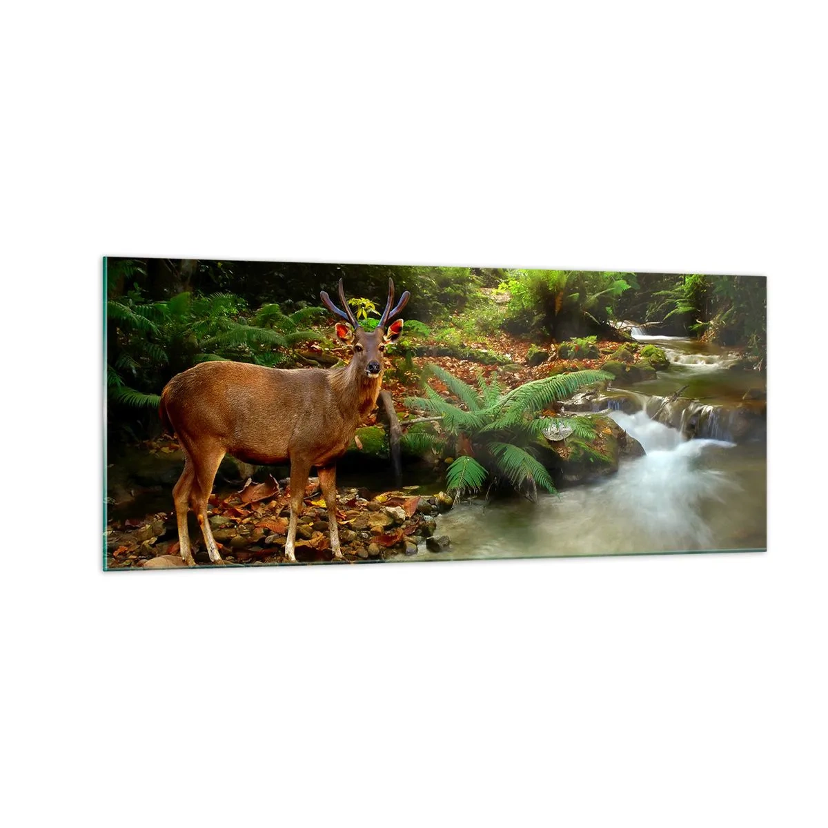 Obraz na szkle - Witam w moim świecie - 100x40 cm