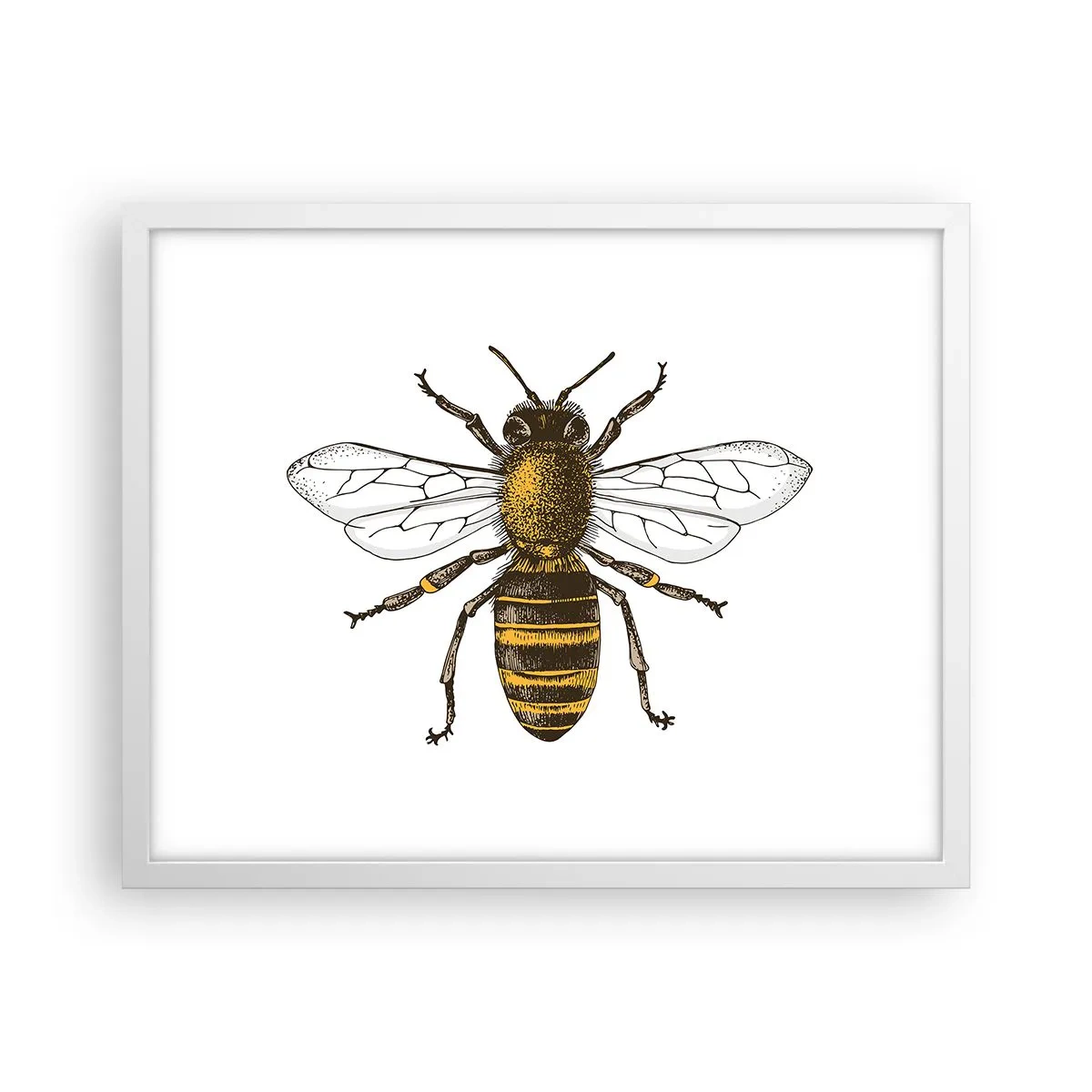 Plakat w białej ramie - Piękna i dobra - 50x40 cm