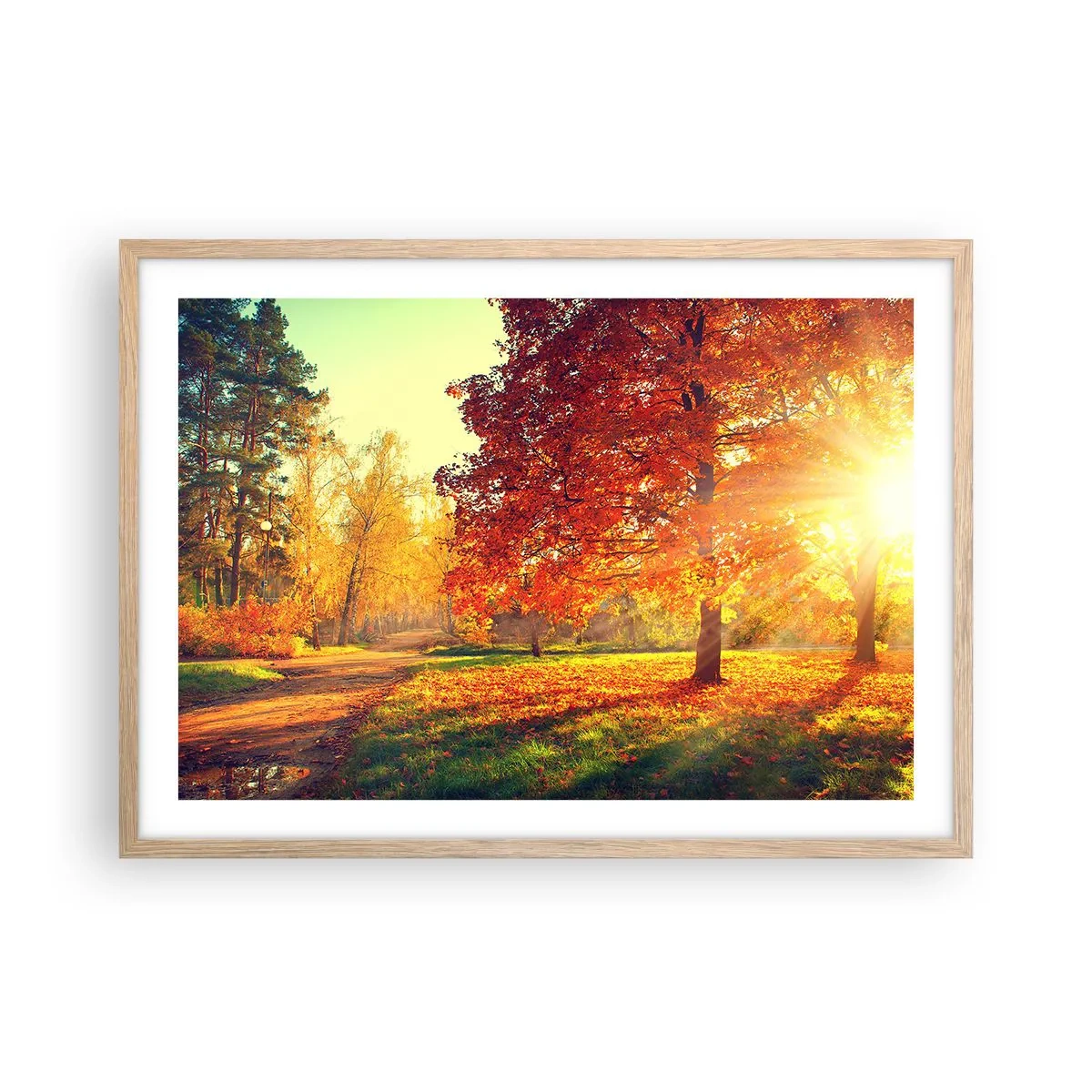 Plakat w ramie jasny dąb - Rude jest piękne - 70x50 cm
