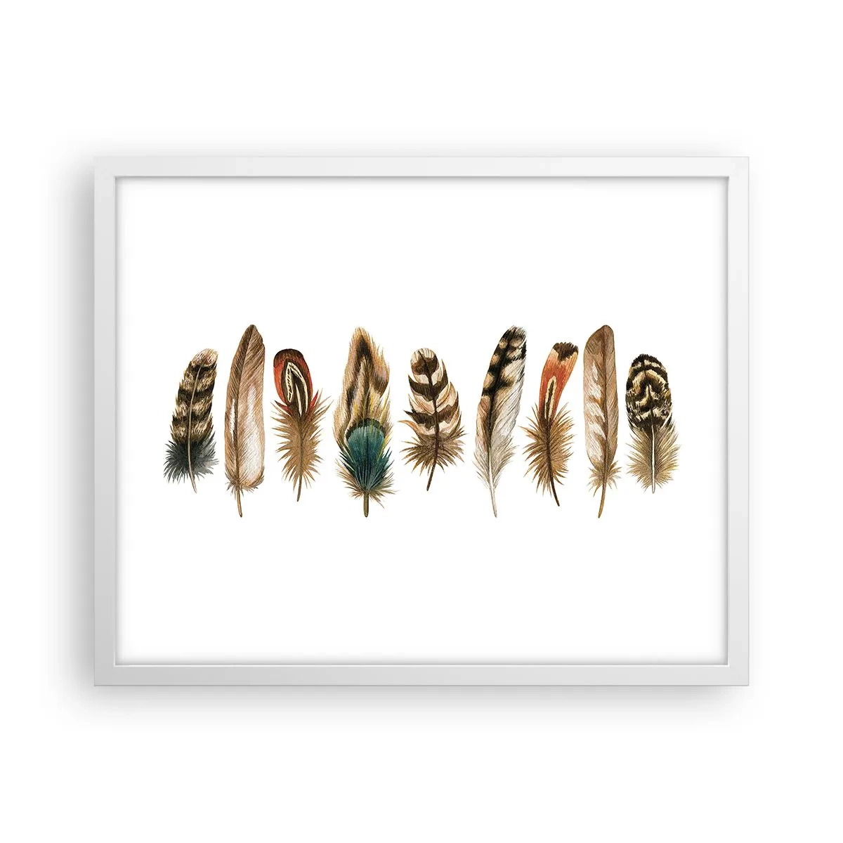 Plakat w białej ramie - Pierzasta wariacja - 50x40 cm