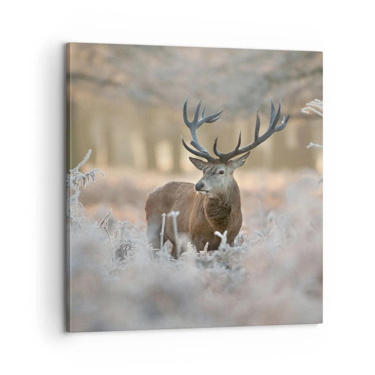 Obraz na płótnie - Rześki poranek - 60x60 cm