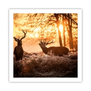 Plakat - Marzenie myśliwego - 60x60 cm
