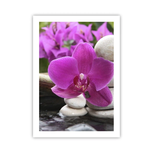 Plakat - Fioletowa orchidea na tle kamieni w harmonijnym ułożeniu - 50x70cm - Już odpoczywasz - Nowoczesna dekoracja ścienna do salonu, kuchni i sypialni ARTTOR