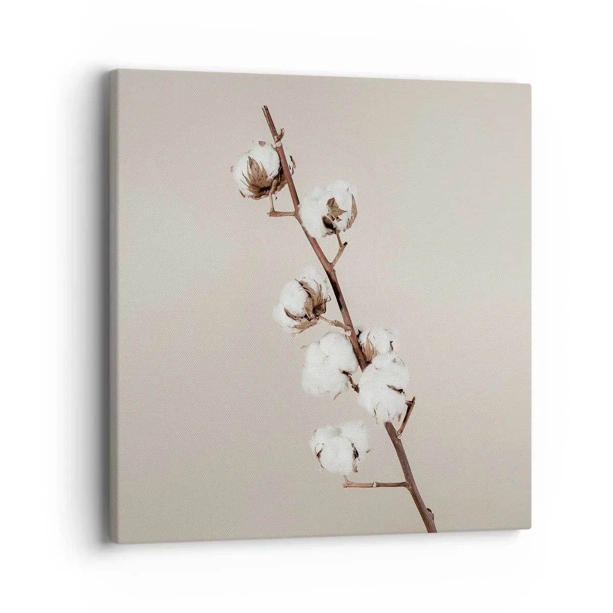 Obraz na płótnie - U źródła miękkości - 40x40 cm