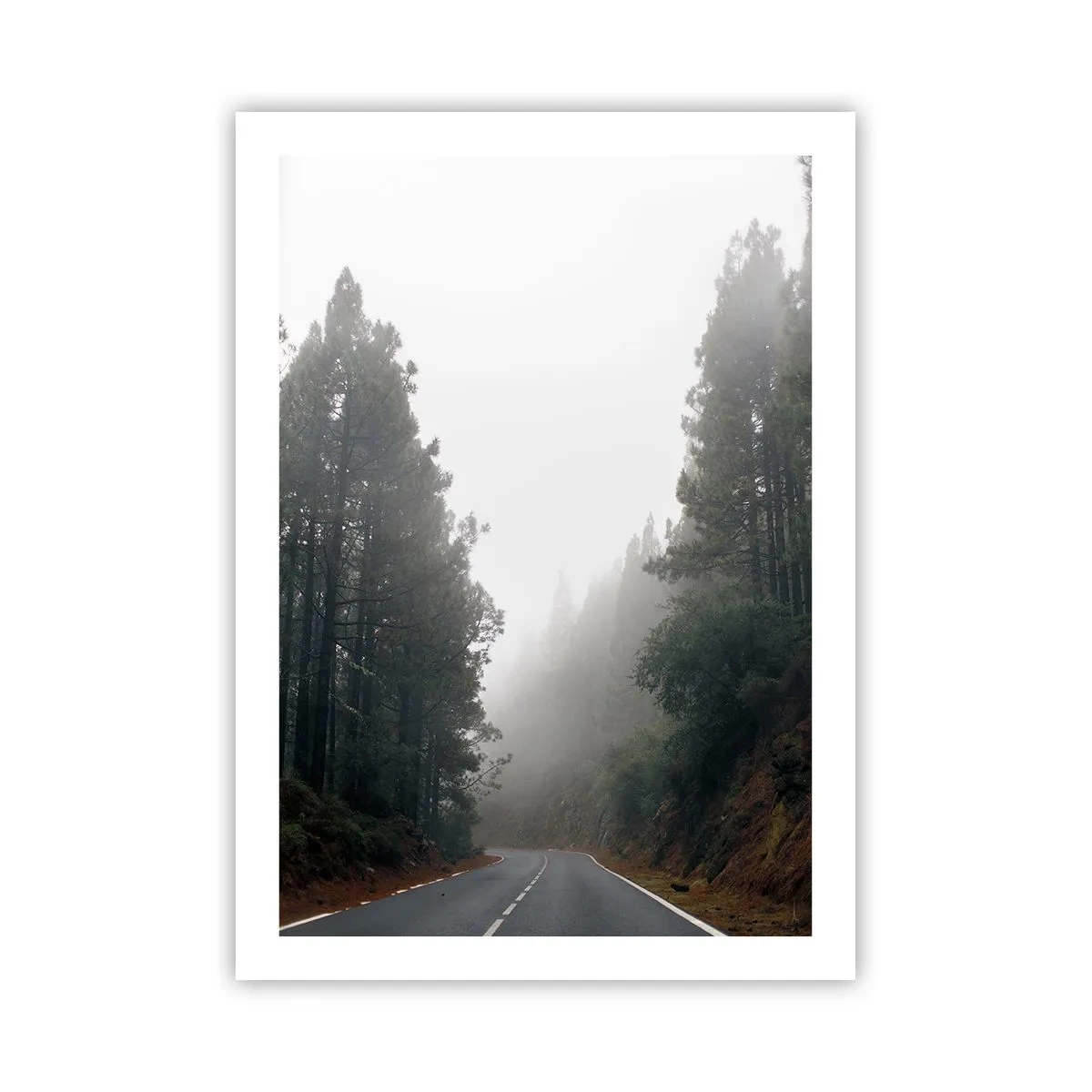 Plakat - Kręta droga wśród drzew spowita mgłą - 50x70cm - Opowieść magicznego lasu - Nowoczesna dekoracja ścienna do salonu, kuchni i sypialni ARTTOR