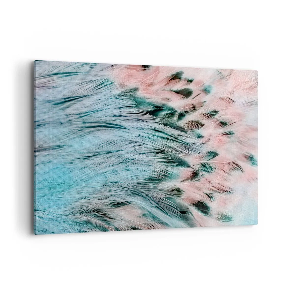Obraz na płótnie - Zbliżenie na pióra w pastelowych szafirowo-różowych barwach - 100x70cm - Szafirowo-różowy puch - Nowoczesna dekoracja ścienna do salonu, kuchni i sypialni ARTTOR