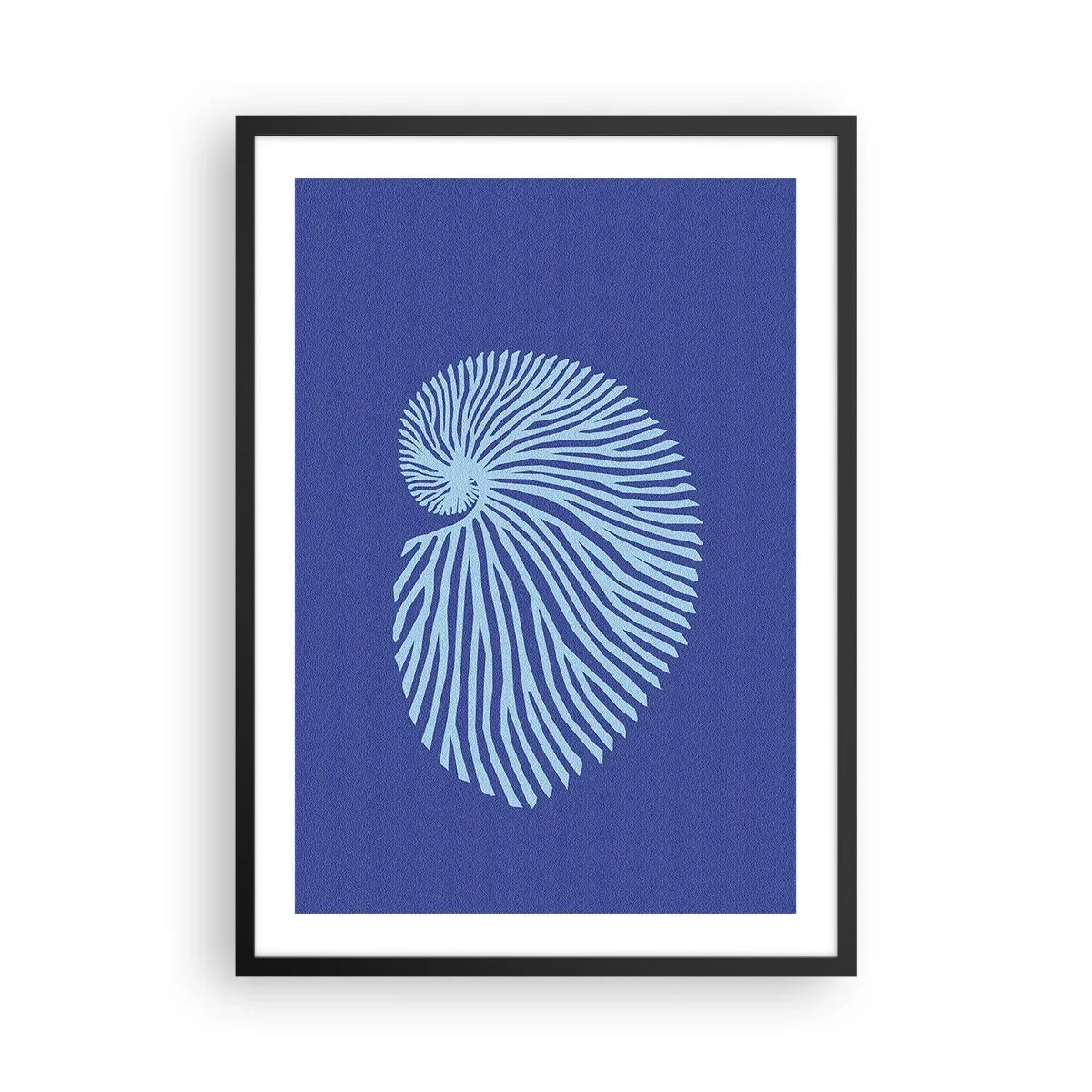 Plakat w czarnej ramie - Stylizowana grafika muszli w spiralnym układzie - 50x70cm - Narodziny muszli - Nowoczesna dekoracja ścienna do salonu i sypialni ARTTOR