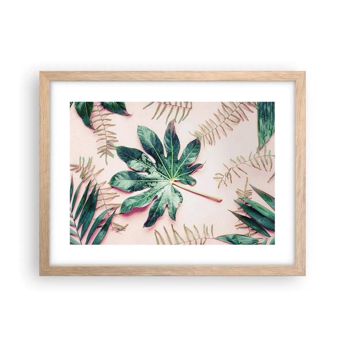 Plakat w ramie jasny dąb - Studium zieleni na różowym tle - 40x30 cm
