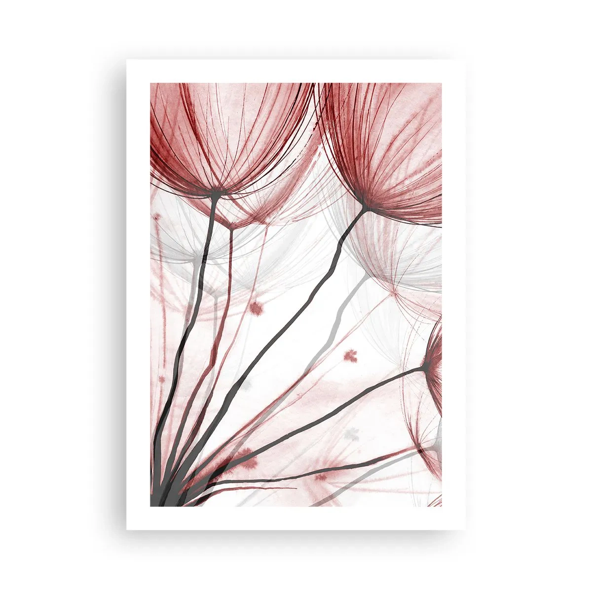 Plakat - Delikatne dmuchawce w odcieniach czerwieni i czerni - 50x70cm - Przed odlotem - Nowoczesna dekoracja ścienna do salonu, kuchni i sypialni ARTTOR