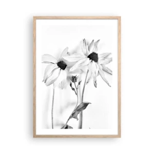 Plakat w ramie jasny dąb - Nikt nie chce być sam - 50x70 cm