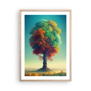 Plakat w ramie jasny dąb - Dąb – ojciec natury - 50x70 cm