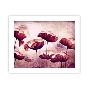 Plakat - Płatek czerwony i biały - 50x40 cm