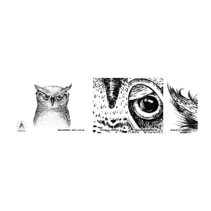 Fototapeta Próbka Standard Eco - Mądrze i z miłością - Sowa, Dla Dzieci, Zwierzęta - 100x30 cm