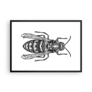 Plakat w czarnej ramie - Rysunkowy motyw osy na białym tle w stylu minimalistycznym - 70x50cm - Z owadziej planety - Nowoczesna dekoracja ścienna do salonu i sypialni ARTTOR