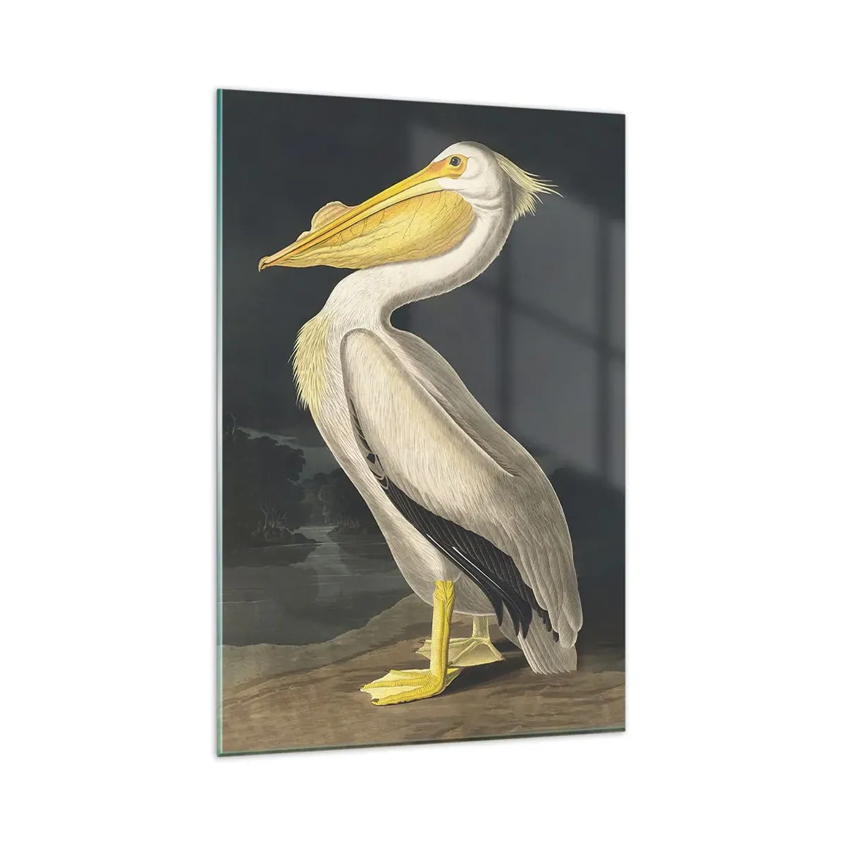 Obraz na szkle - Pelikan na tle ciemnego krajobrazu - 80x120cm - Pełen dumy - Nowoczesna dekoracja ścienna do salonu i sypialni ARTTOR