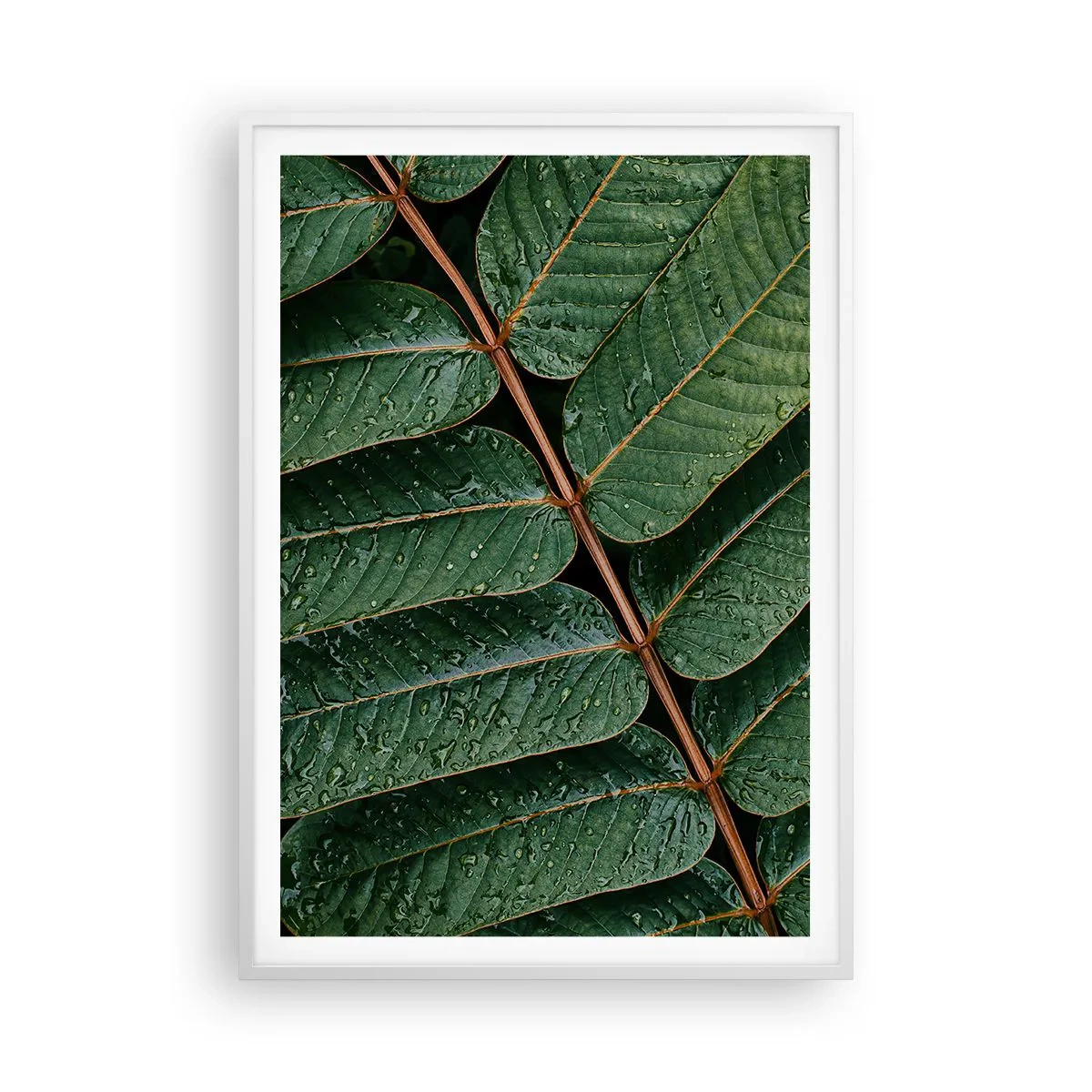 Plakat w białej ramie - W zielonym rytmie - 70x100 cm