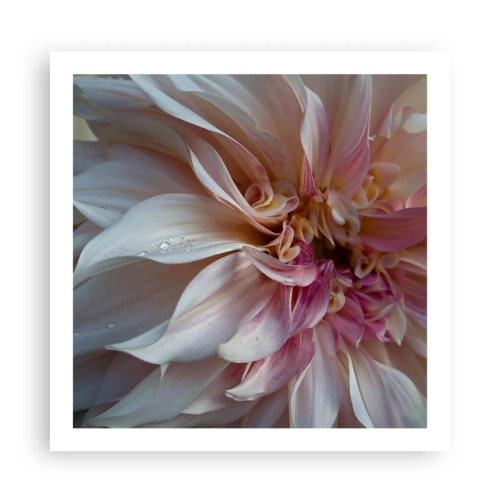 Plakat - Kwitnąca świeżość - 60x60 cm