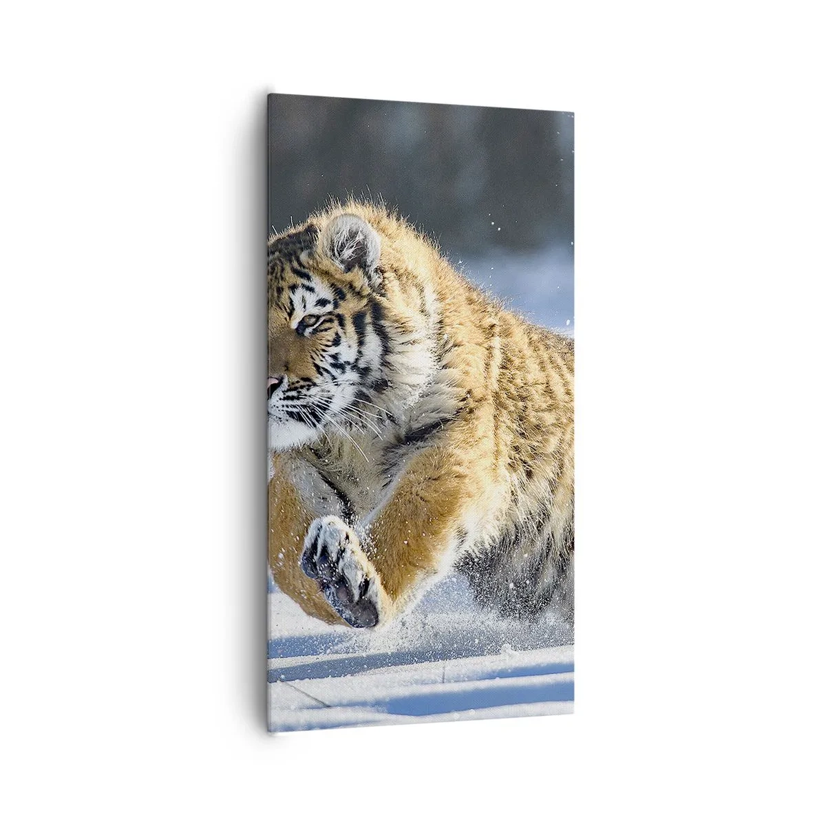 Obraz na płótnie - Bóg syberyjskiej tajgi - 65x120 cm