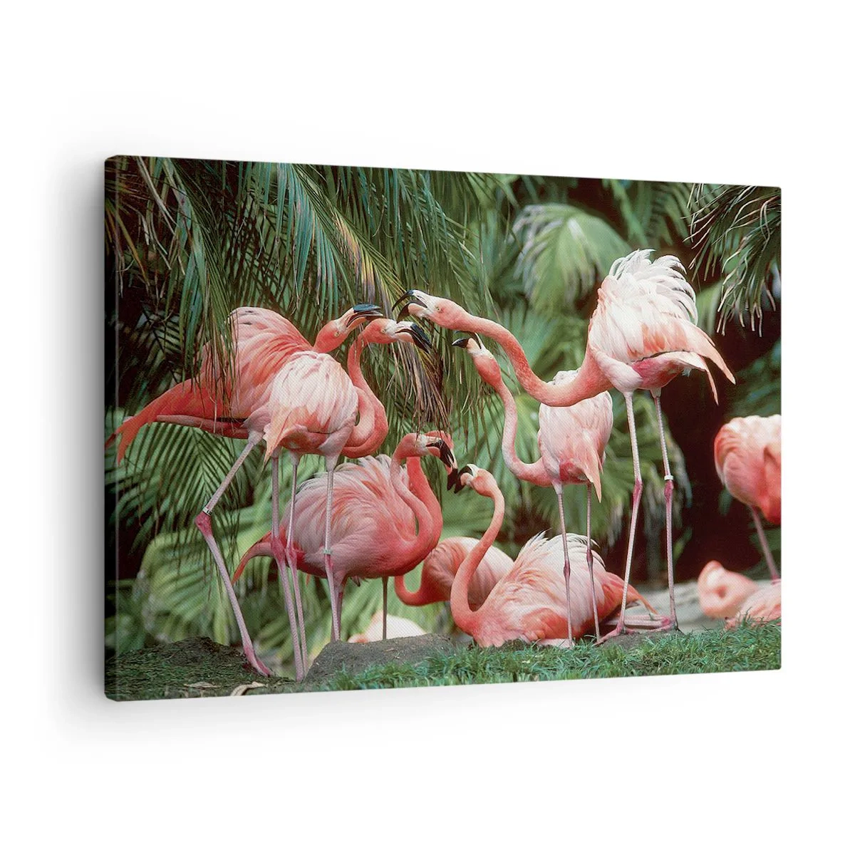 Obraz na płótnie - Grupa flamingów w tropikalnym otoczeniu palm - 70x50cm - Popołudniowe ploteczki - Nowoczesna dekoracja ścienna do salonu i sypialni ARTTOR