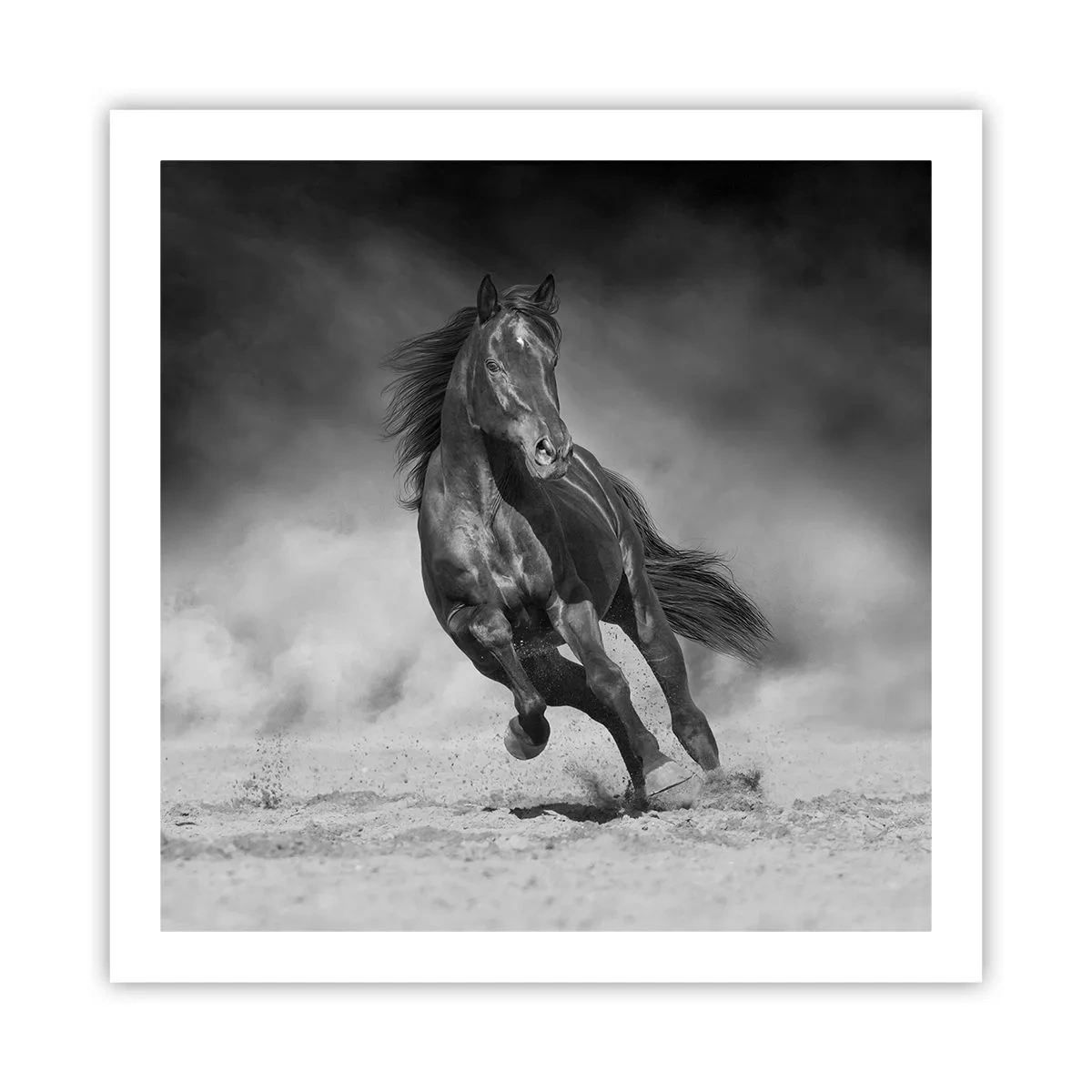 Plakat - Godny samego emira - 60x60 cm