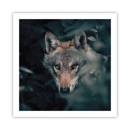 Plakat - Łowca - 60x60 cm