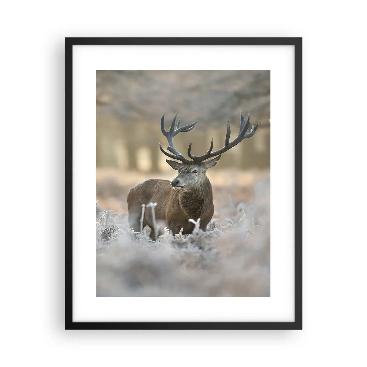 Plakat w czarnej ramie - Rześki poranek - 40x50 cm