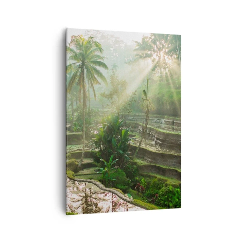 Obraz na płótnie - Tarasy ryżowe z palmami w promieniach słońca - 70x100cm - Dorastać w słońcu - Nowoczesna dekoracja ścienna do salonu i sypialni ARTTOR