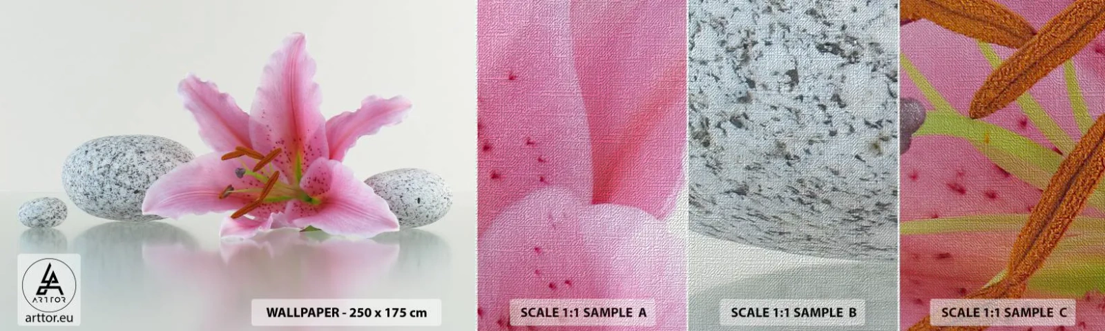 Fototapeta Próbka Premium Canvas - Studium w różu, szarości i bieli - Kwiaty, Lilia, Kamienie - 100x30 cm