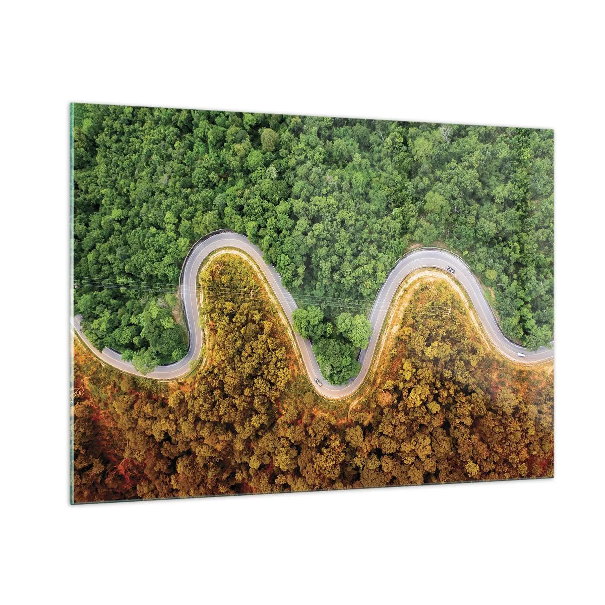 Obraz na szkle - Kręta droga wśród gęstego lasu widziana z lotu ptaka - 100x70cm - Granice i przełomy - Nowoczesna dekoracja ścienna do salonu, kuchni i sypialni ARTTOR