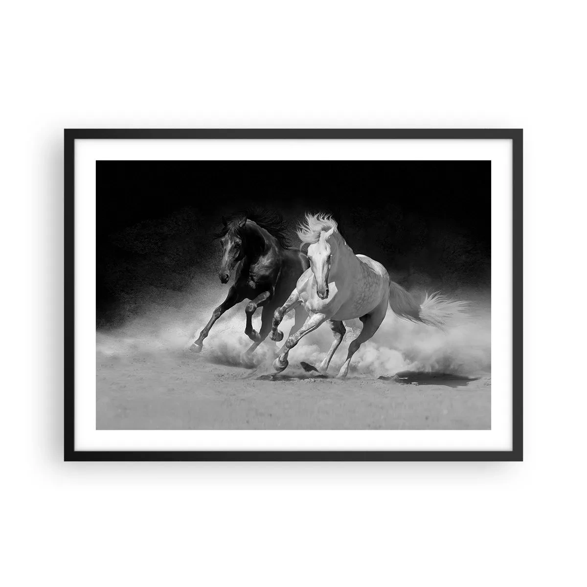 Plakat w czarnej ramie - Biegnące konie w czerni i bieli - 70x50cm - Galop wolności - Nowoczesna dekoracja ścienna do salonu i sypialni ARTTOR