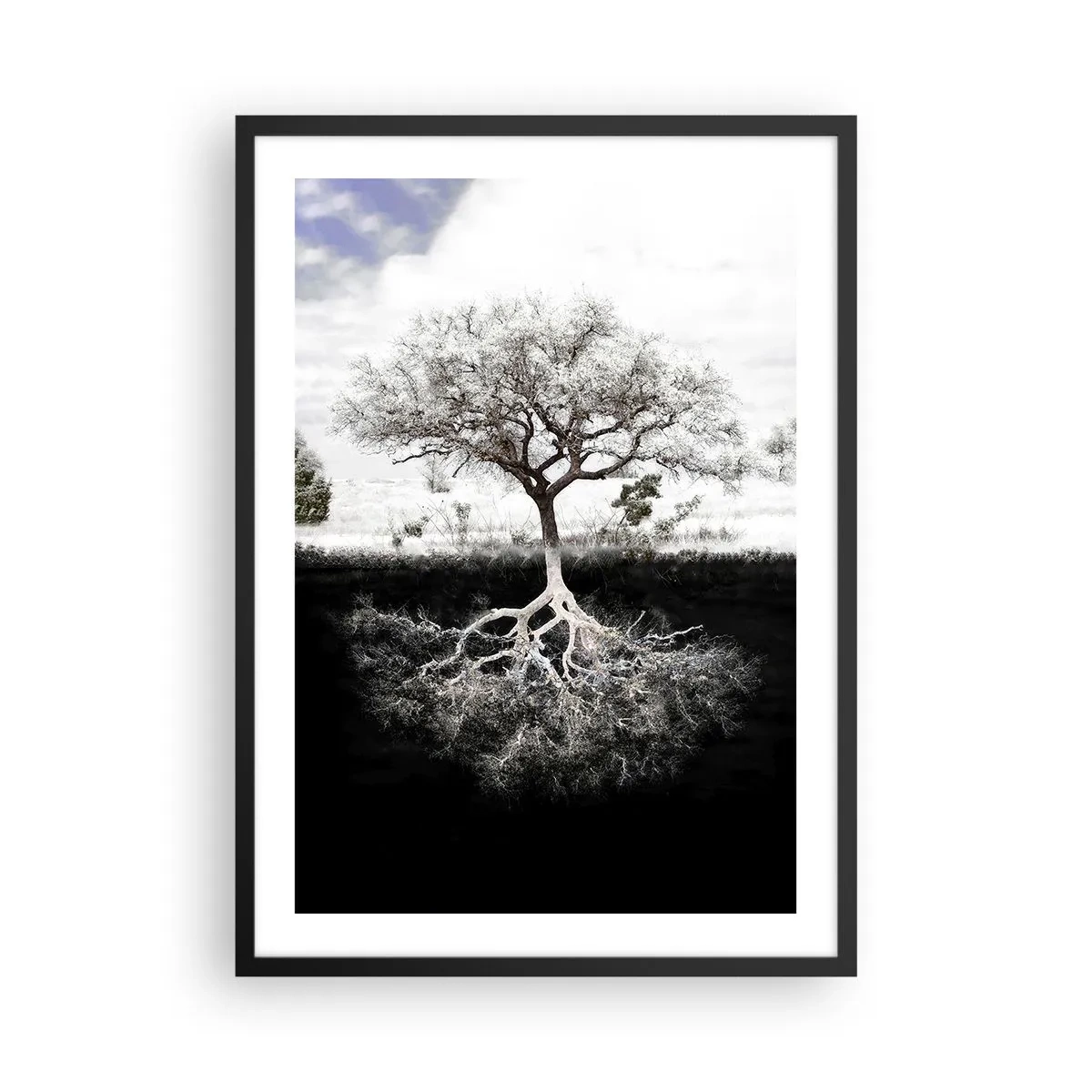 Plakat w czarnej ramie - Minimalistyczne drzewo z widocznym systemem korzeniowym - 50x70cm - Odkrycie natury świata - Nowoczesna dekoracja ścienna do salonu i sypialni ARTTOR