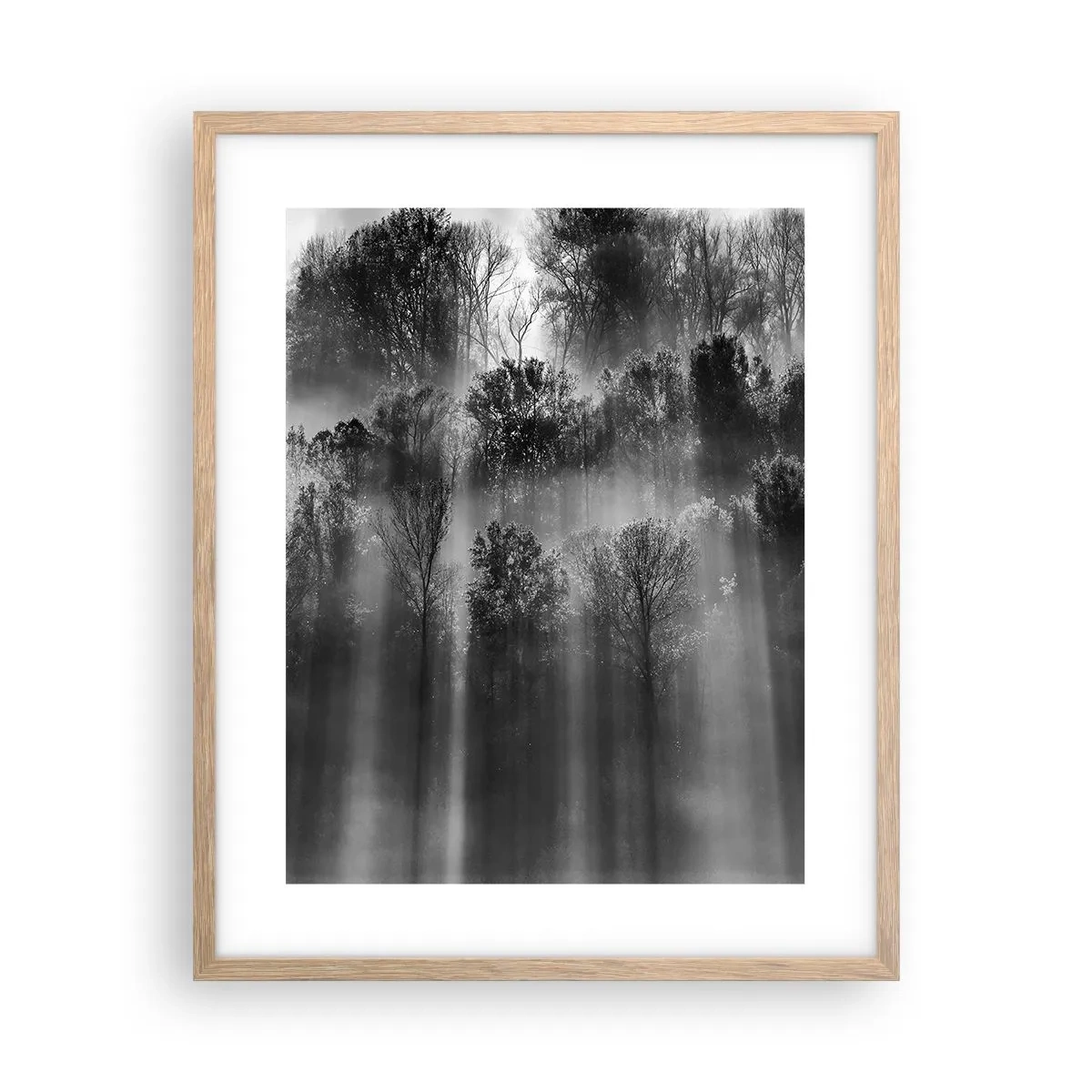 Plakat w ramie jasny dąb - W strumieniach światła - 40x50 cm