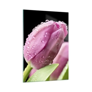Obraz na szkle - Różowe tulipany pokryte kroplami rosy na czarnym tle - 50x70cm - Liliowy sen w rosie - Nowoczesna dekoracja ścienna do salonu, kuchni i sypialni ARTTOR